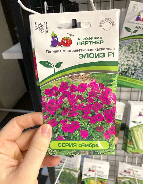 петуния Элоиз F1 каскадная, серия "Амбер"